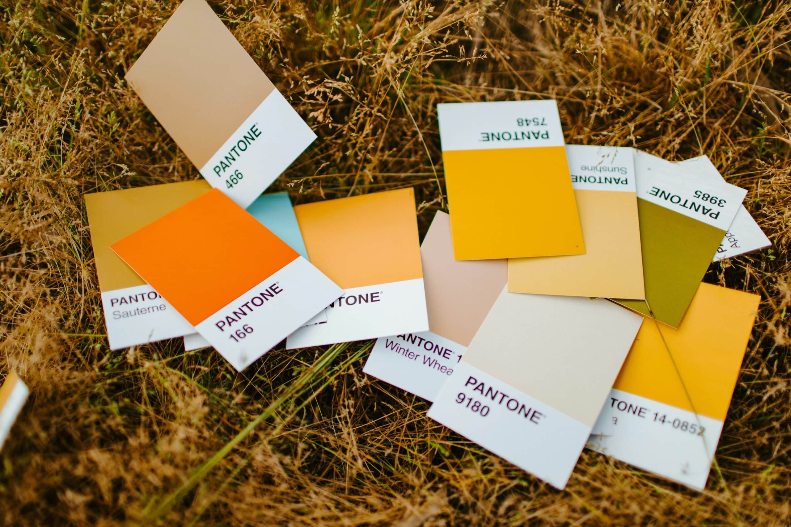 Charte Graphique Reflet Digital Consulting