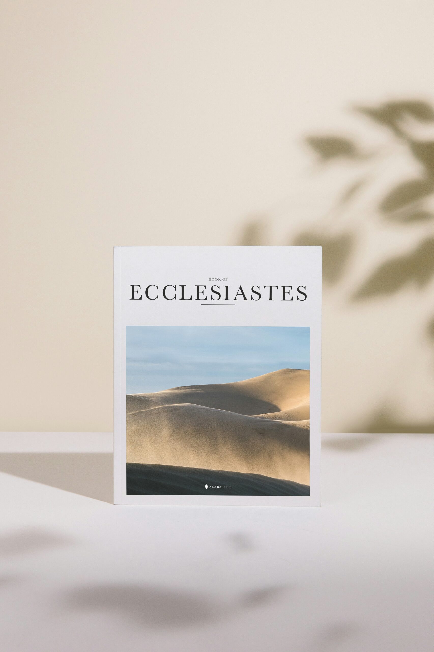 Supports de communication - Reflet Digital Consulting