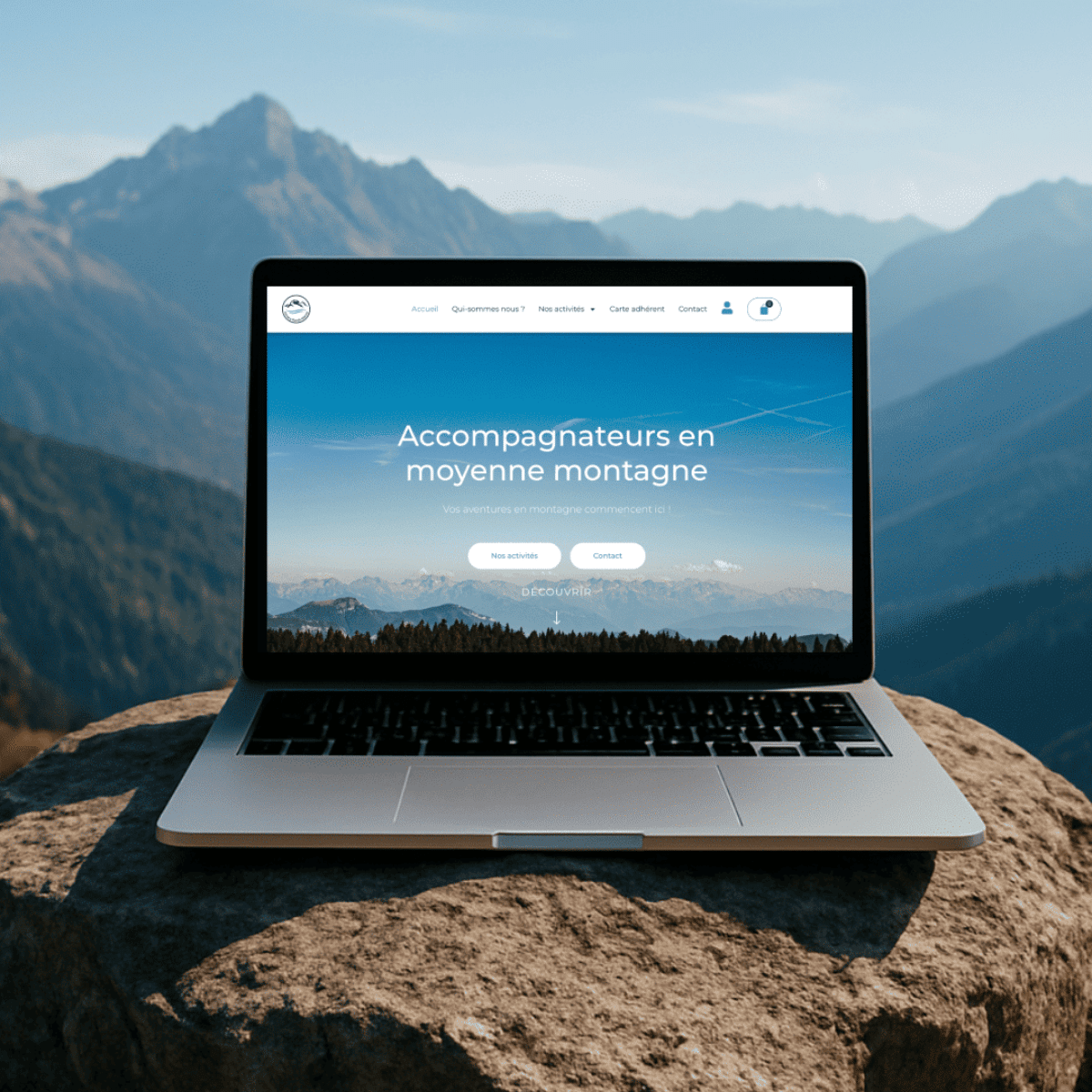 Site web